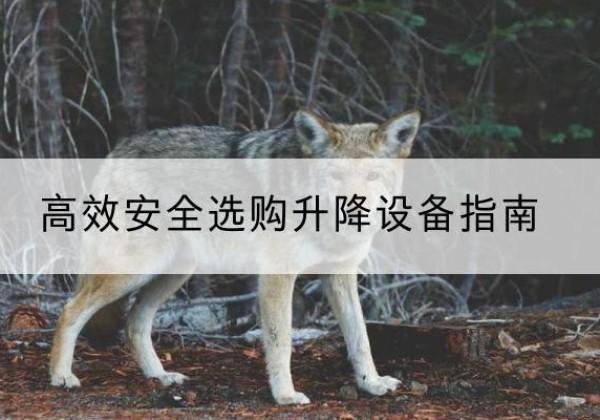 华容升降货梯厂家推荐-*安全选购升降设备指南
